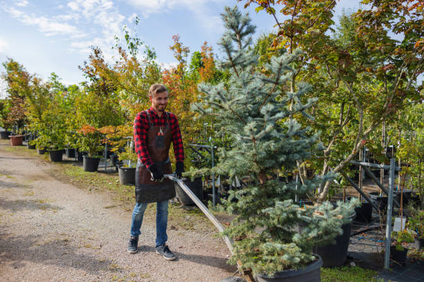 Best Weed Control  in Pompano Beach, FL